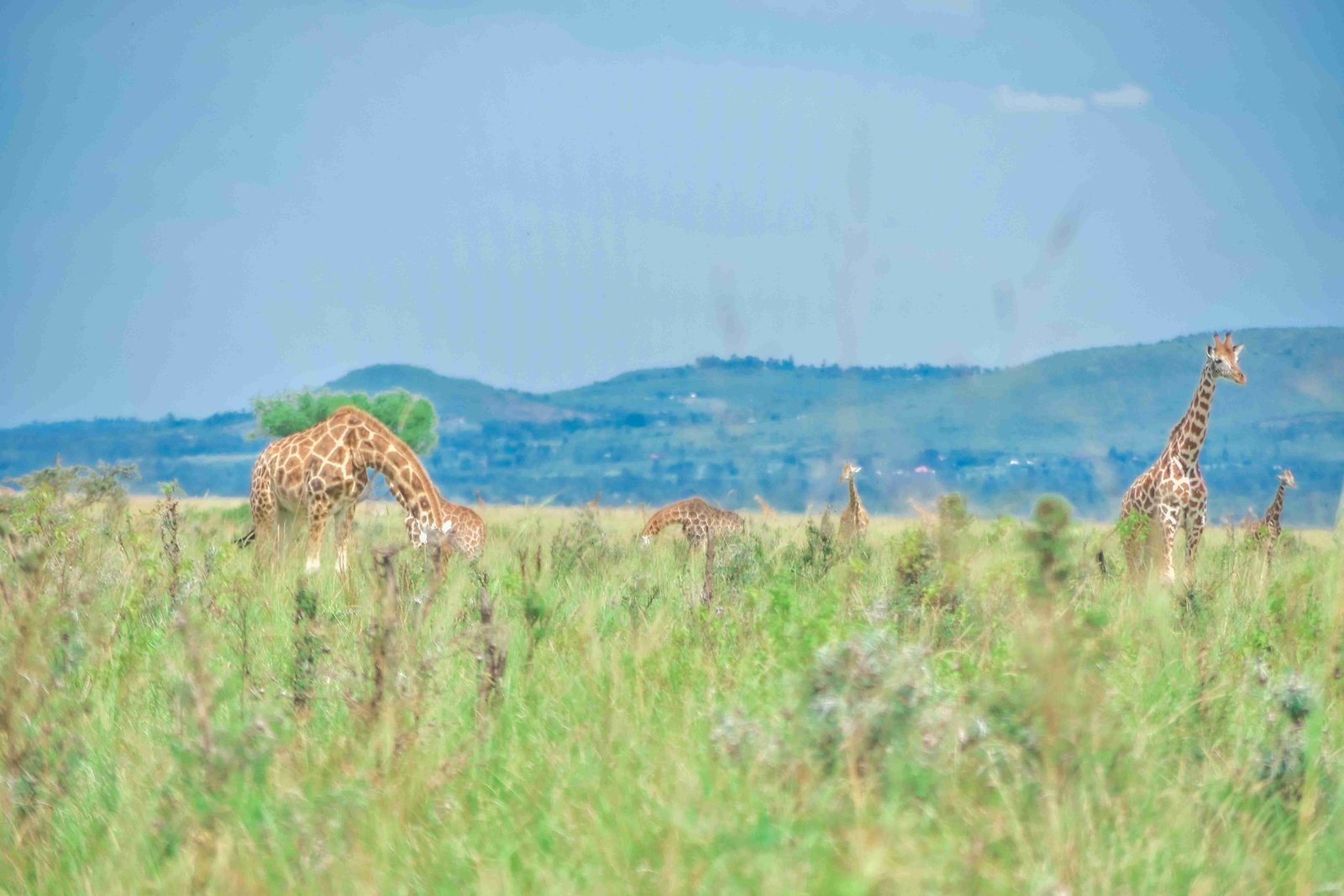 Mnaha Wild Adventures-1 Image